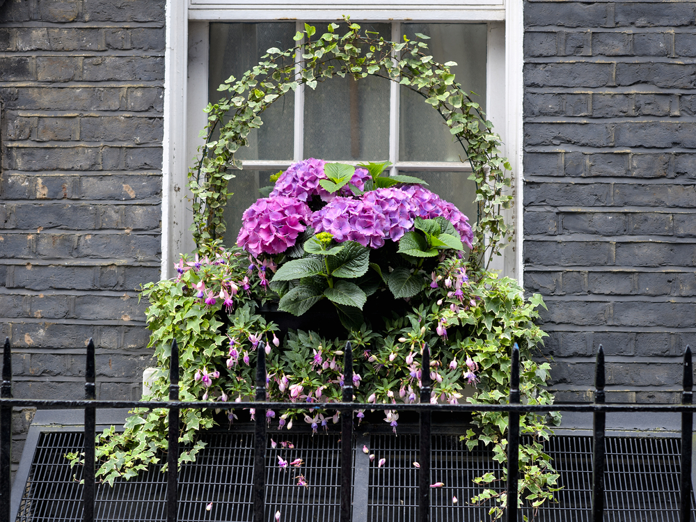 shutterstock_440525479