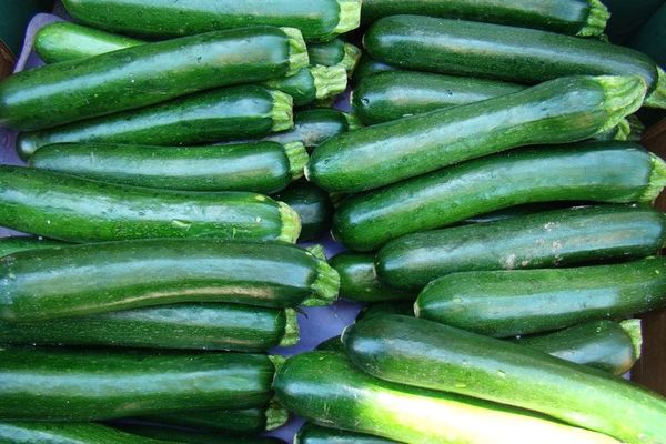 zucchini