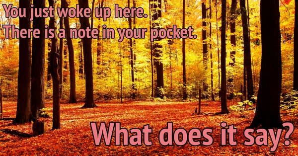 Our 10 Favorite Responses To The Forest Prompt! Our 10 Favorite Responses To The Forest Prompt!