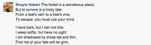Our 10 Favorite Responses To The Forest Prompt! Our 10 Favorite Responses To The Forest Prompt!