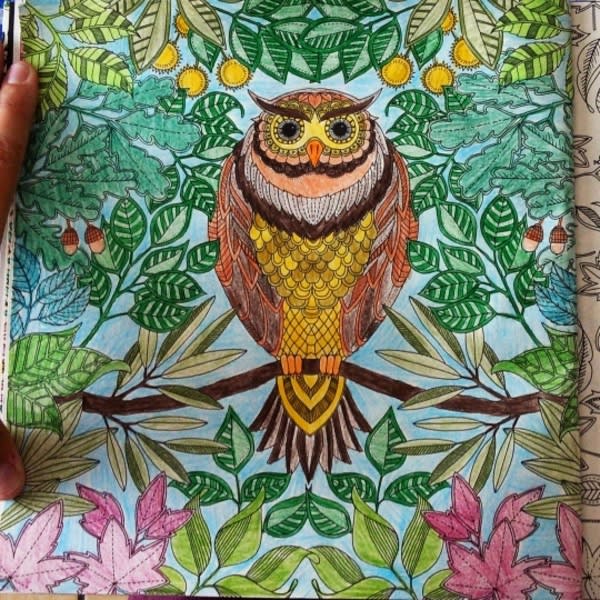 Coloring Books! For Adults! This Is Too Amazing! Coloring Books! For Adults! This Is Too Amazing!