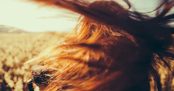 Freshen Up Your Writing With These 53 Awesome Adjectives To Describe Your Character's Hair! Freshen Up Your Writing With These 53 Awesome Adjectives To Describe Your Character's Hair!
