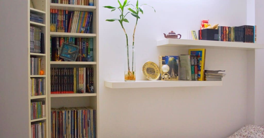 CS-Bookshelf-Display2