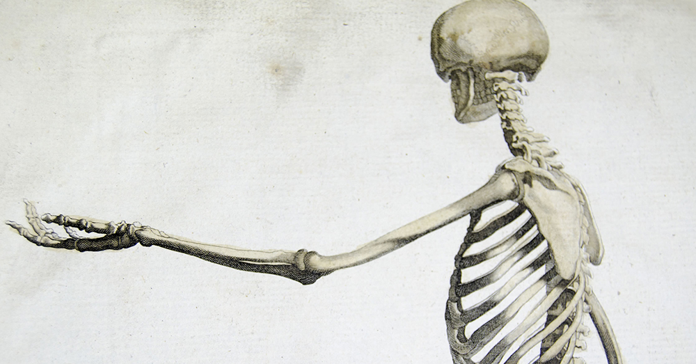 Source: flickr/University of Liverpool Faculty of Health & Life Sciences