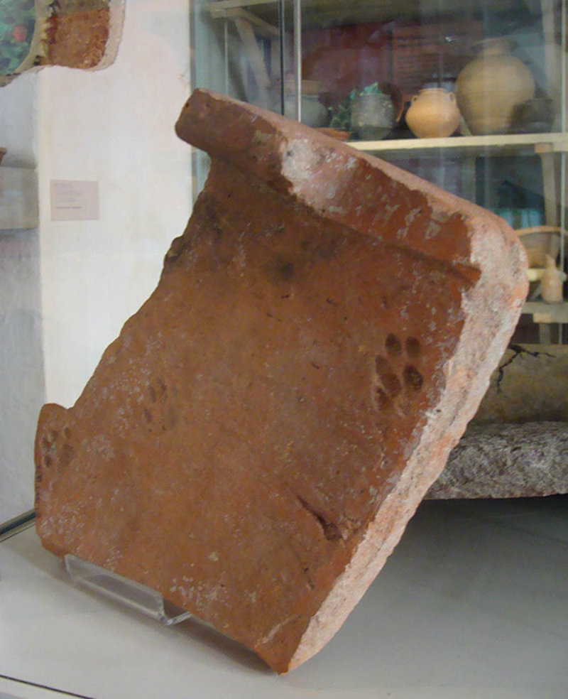 Image from: Gloucester City Museum