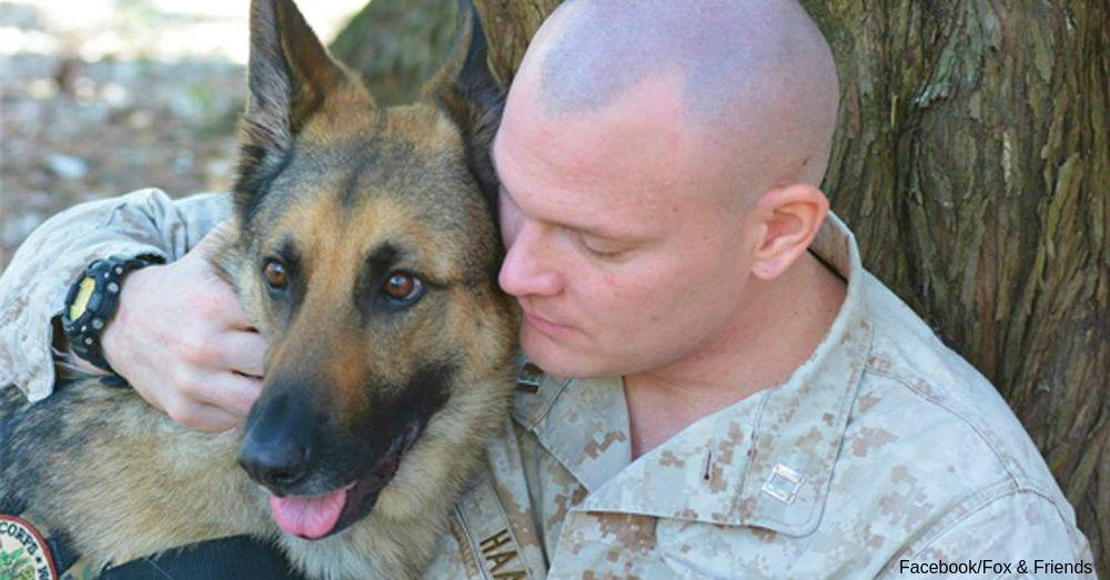 Marine Corps Veteran Capt Jason Haag (RET) credits his service dog `Axel` for saving his life & helping him overcome PTSD. / Via Fox And Friends