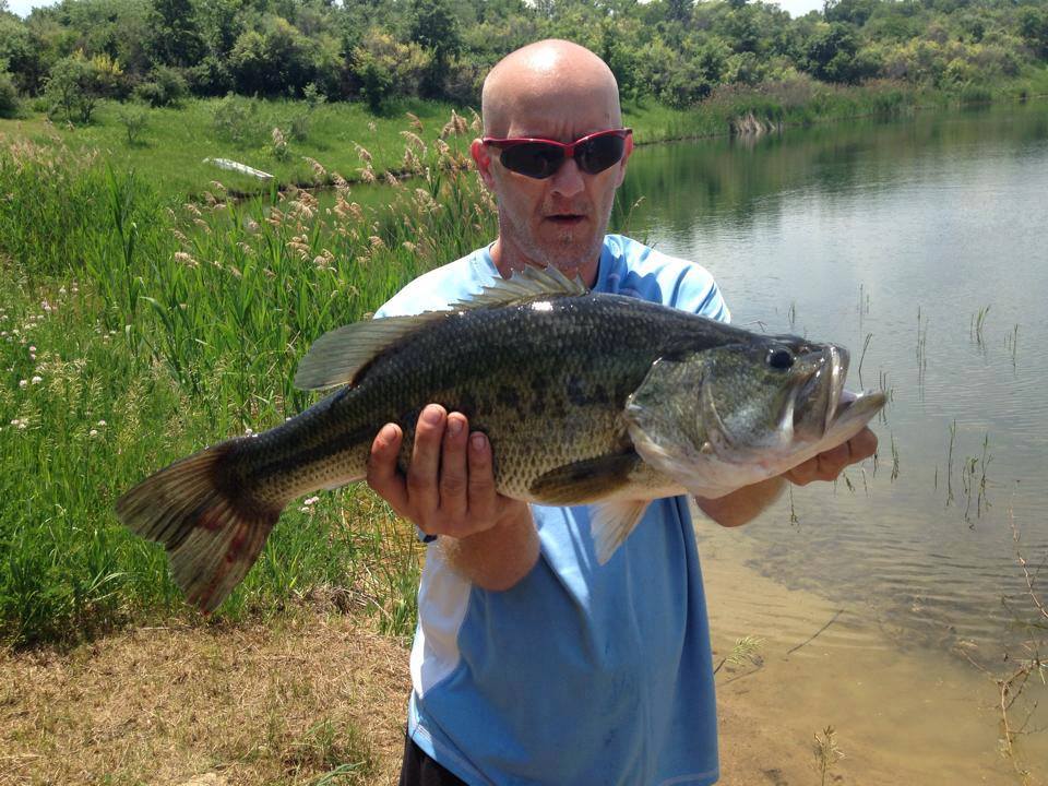 From Russ Adkins: Nice Indiana hawg