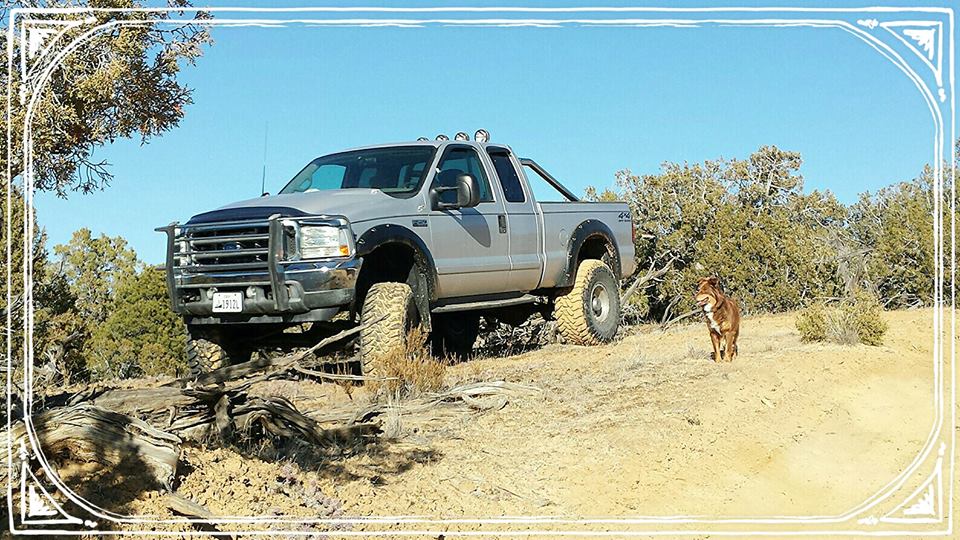 From Sunnshine Richman: My friends 03 ford with 6 in lift with my aussi shep.