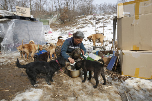 (AP Photo/Lee Jin-man)