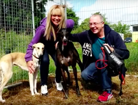 PAWS Animal Rescue