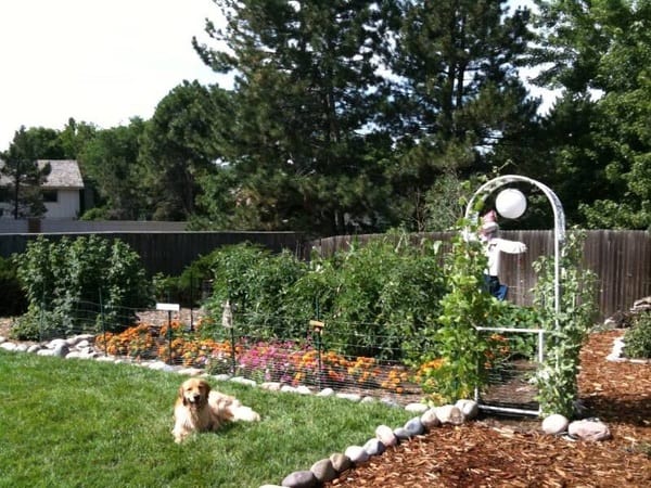 User submitted photo from Judy Madonia Krueger