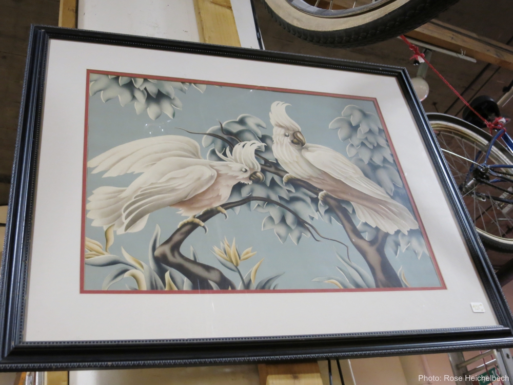 Turner Cockatiel Print