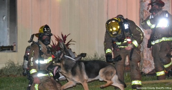 Maxx led firefighters into her burning Longwood, Fla. home to save a 2-year-old girl and 4-year-old boy.