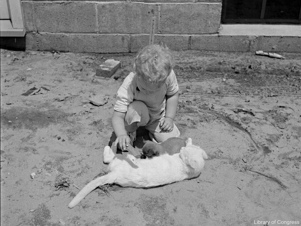 Child Playing with a Cat
