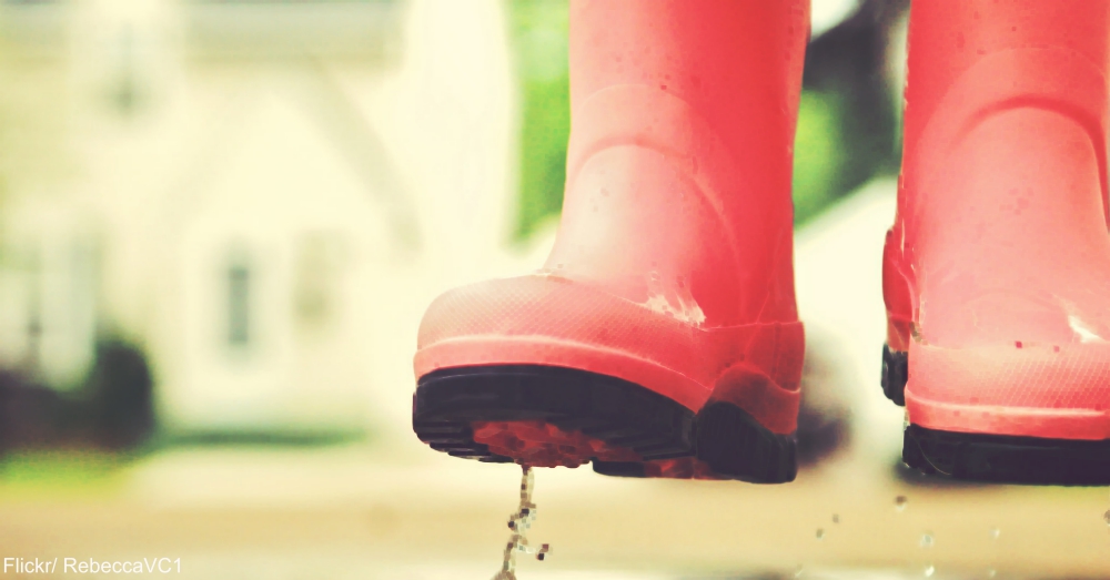 Summer Rain Puddles
