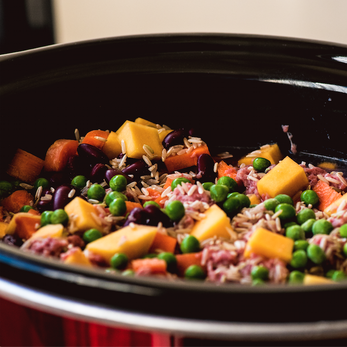 Do You Have These 6 Contaminated Pet Foods In Your Pantry? The Animal