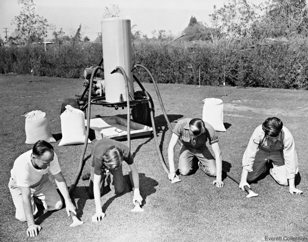Yard Vacuum