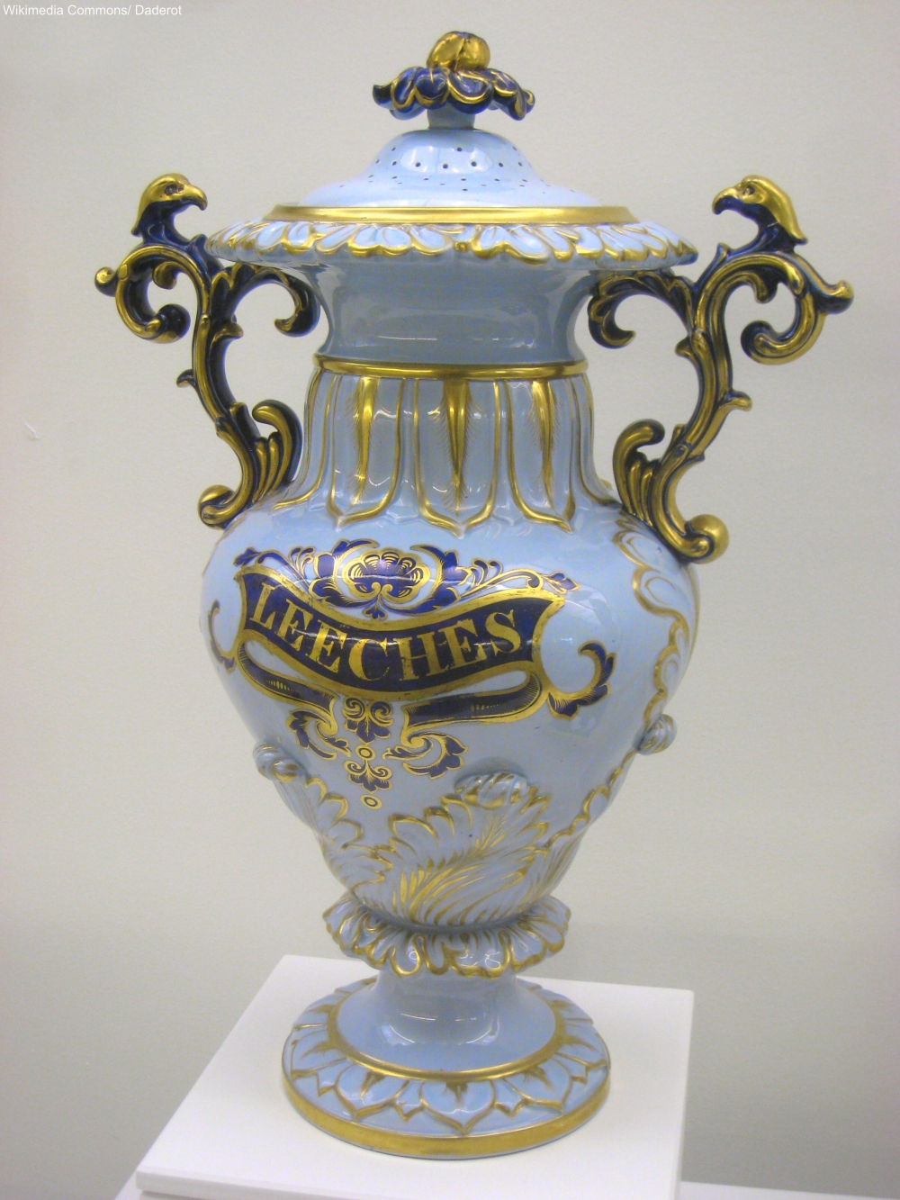 Early 1800s Leech Jar