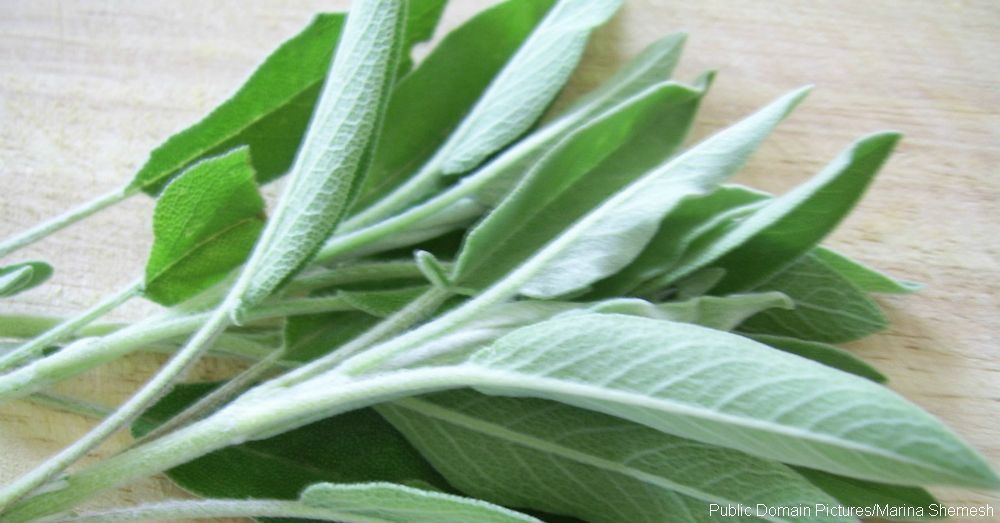 cs-naturally-fragrant-home-4