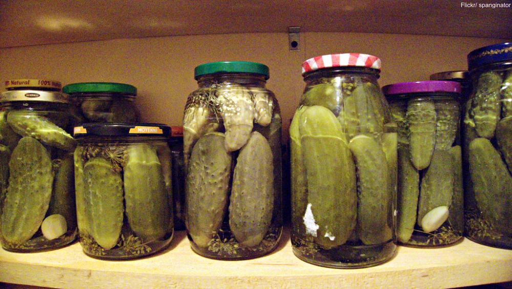 Reused Jars for Pickling