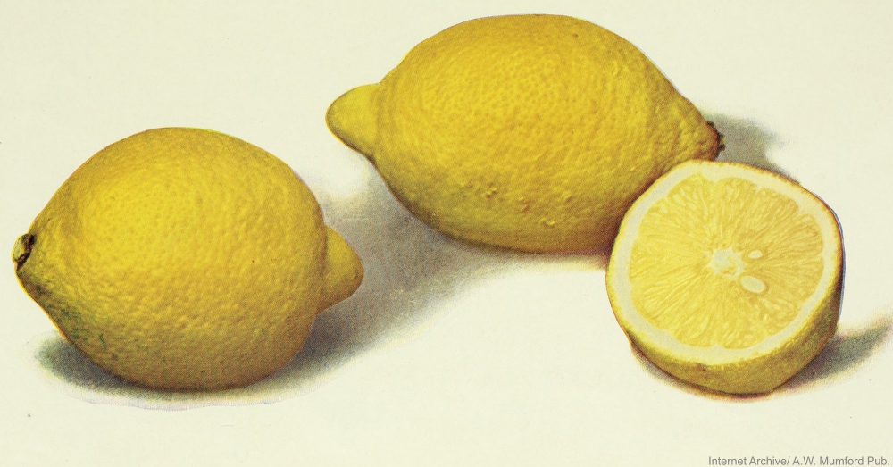 Lemons from