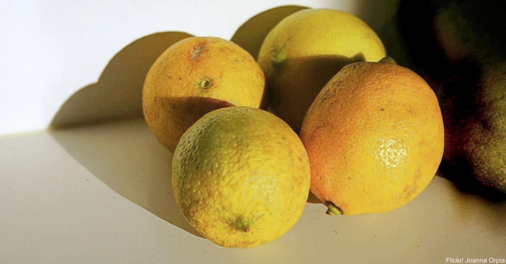 Lemons on Countertop