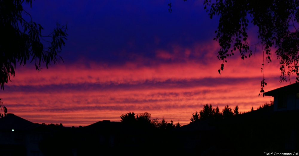 Intense Summer Sunset Over the Suburbs