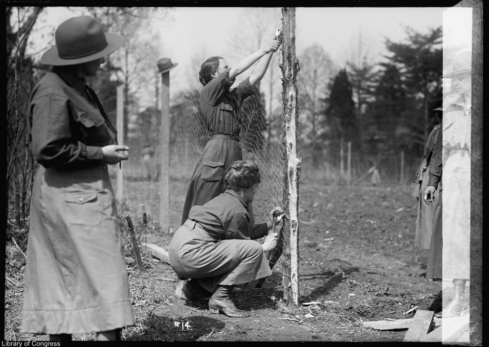 National Women's Defense League, World War I