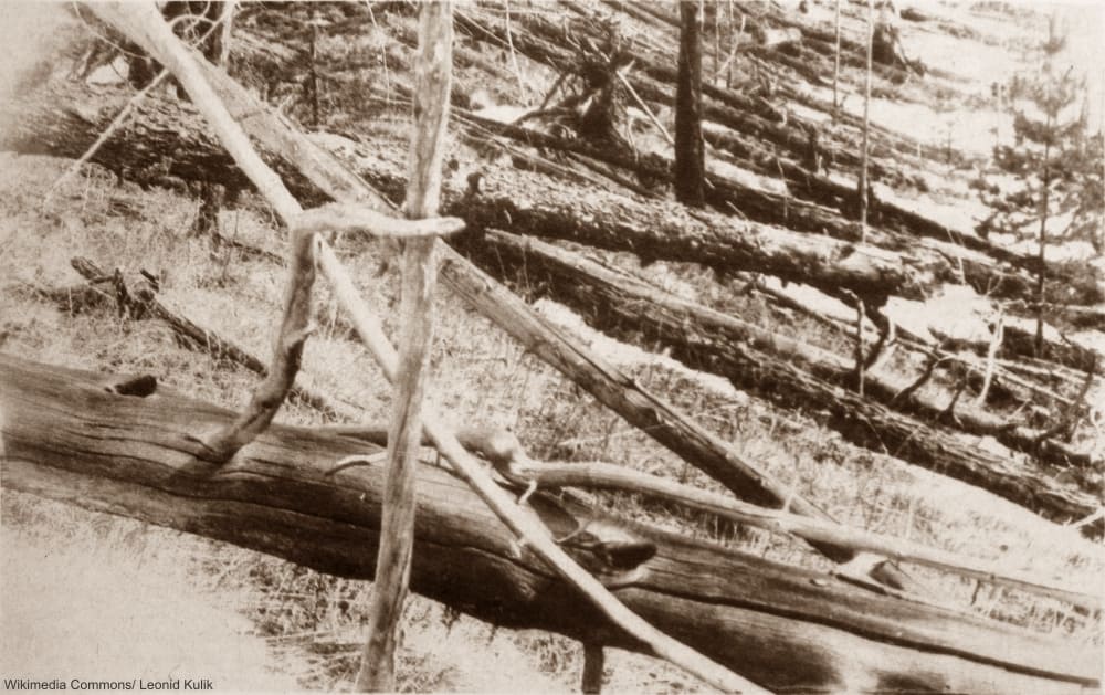 Tunguska Russia After the 1908 Event