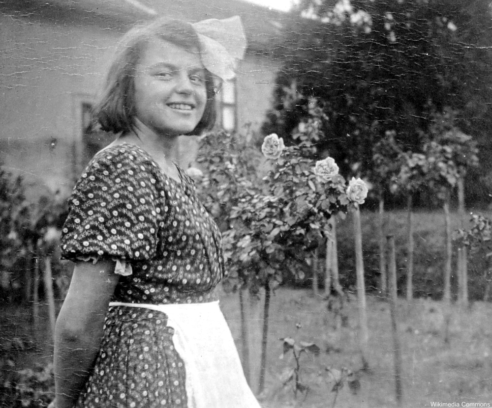 aprons of the past