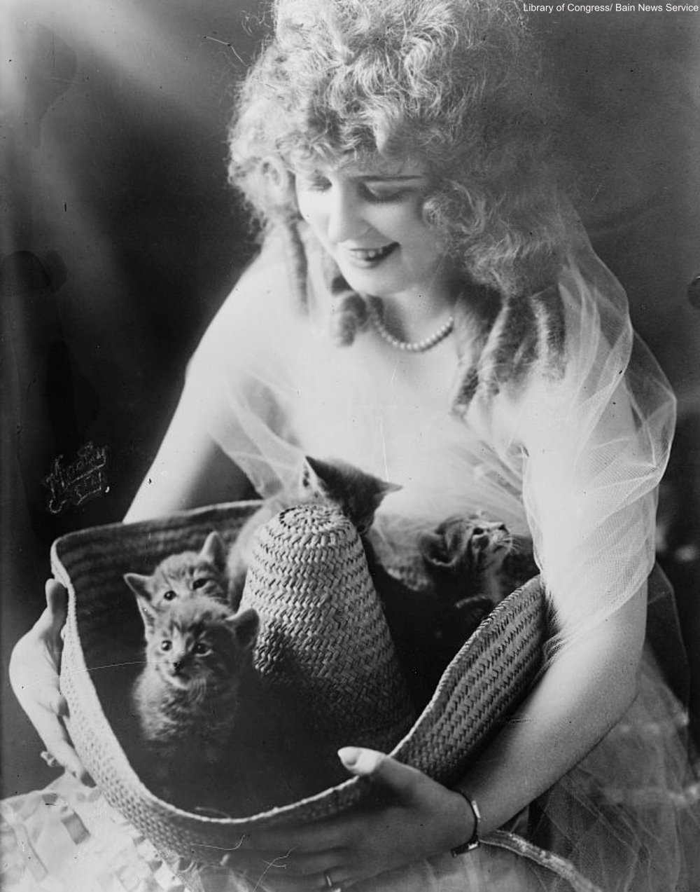 Don't let the cat out of the bag idiom origins