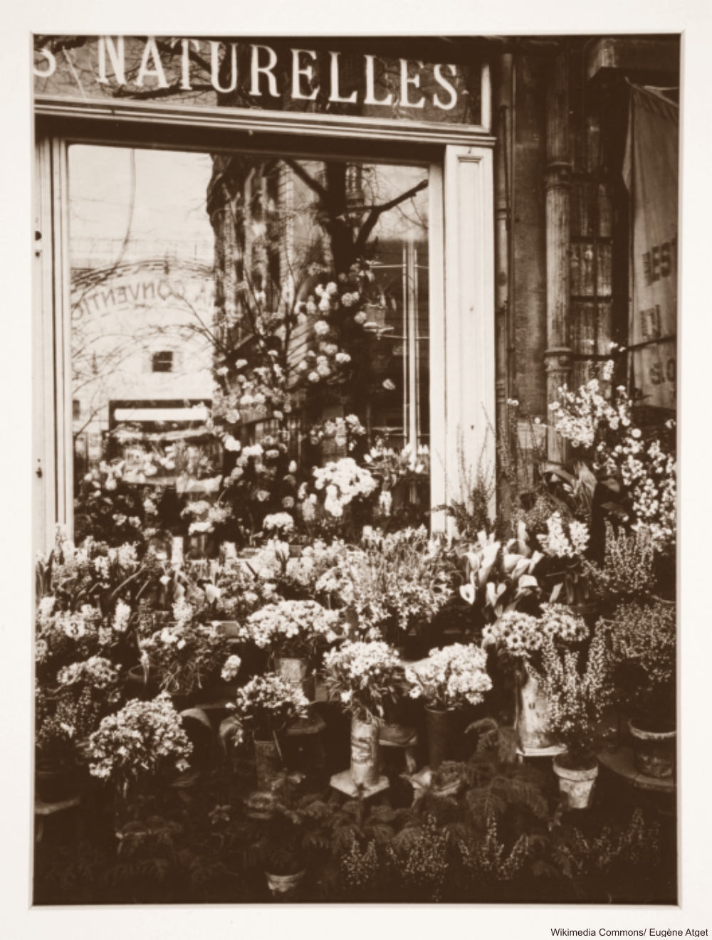 Parisian Flower Shop Window 1920s