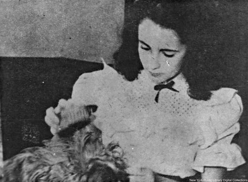 Cat Lovers Throughout History