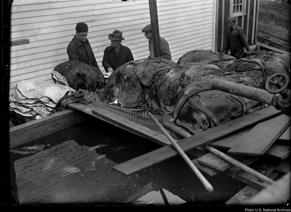 The Settling of Alaska in Iconic Photographs
