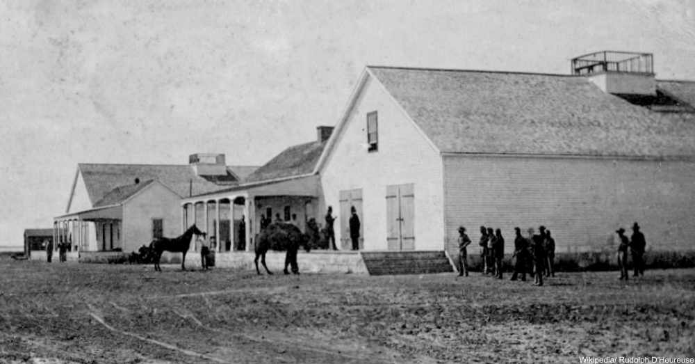 Camels At The Civil War? The Forgotten Story of the US Camel Corps