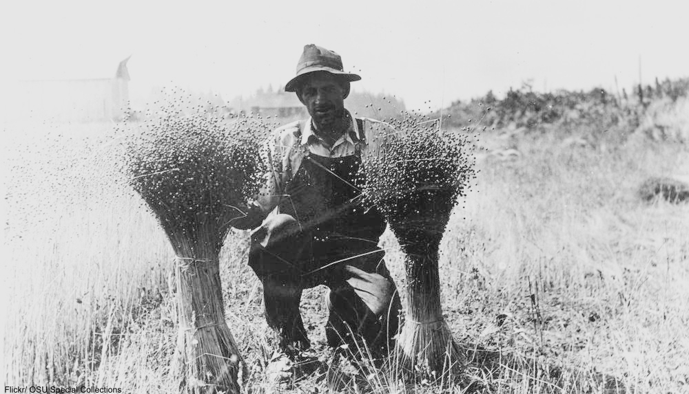 Old Timey Home Remedies