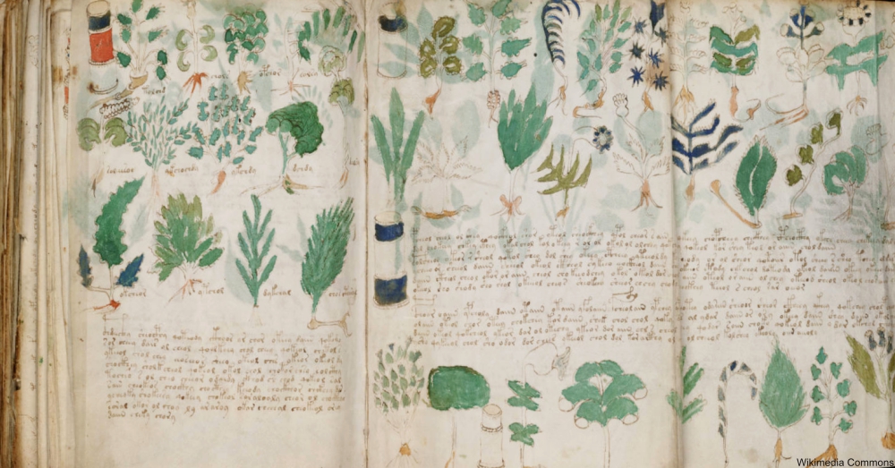 The Mysterious Voynich Manuscript Is Still Stmpuing Code Breakers 600 Years Later