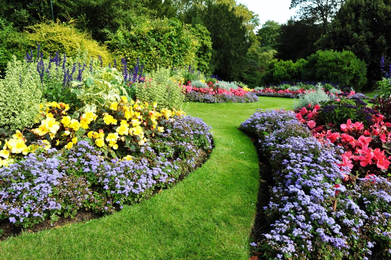 Flowerbeds and Grass Pathway in a Beautiful English Landscape Garden