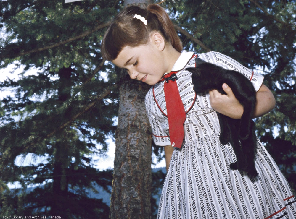 Why Is It Lucky? The Origins of 8 Lucky (& Unlucky) Superstitions We're Still Using Today