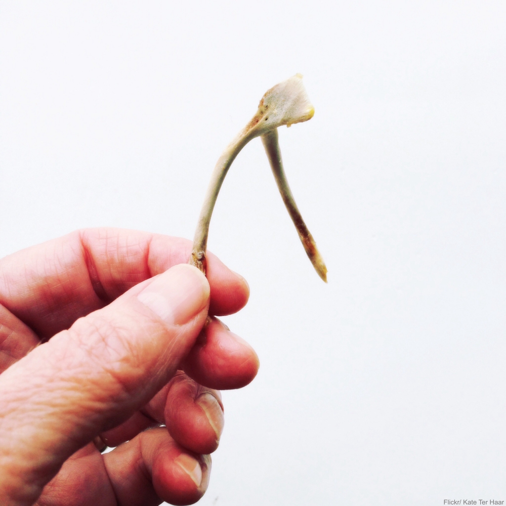 Why Is It Lucky? The Origins of 8 Lucky (& Unlucky) Superstitions We're Still Using Today