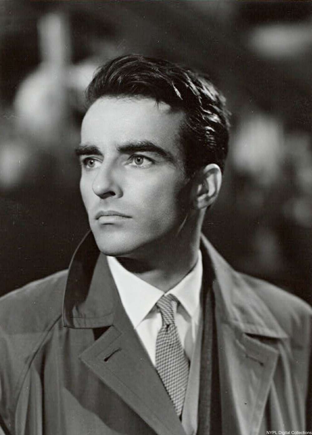 Our favorite leading men of the old movies