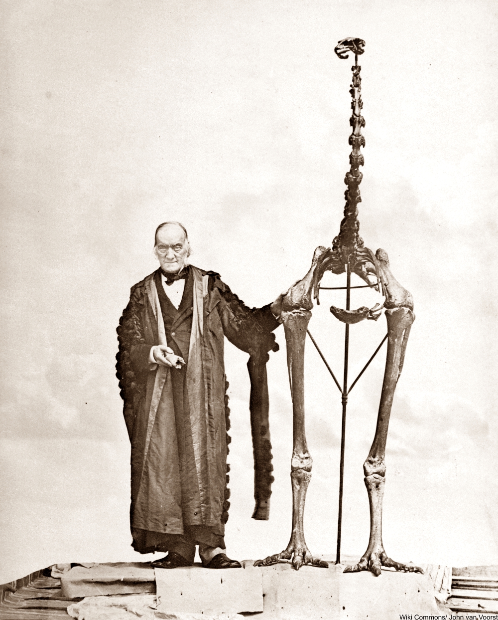 Meet the Man Who Invented Dinosaurs