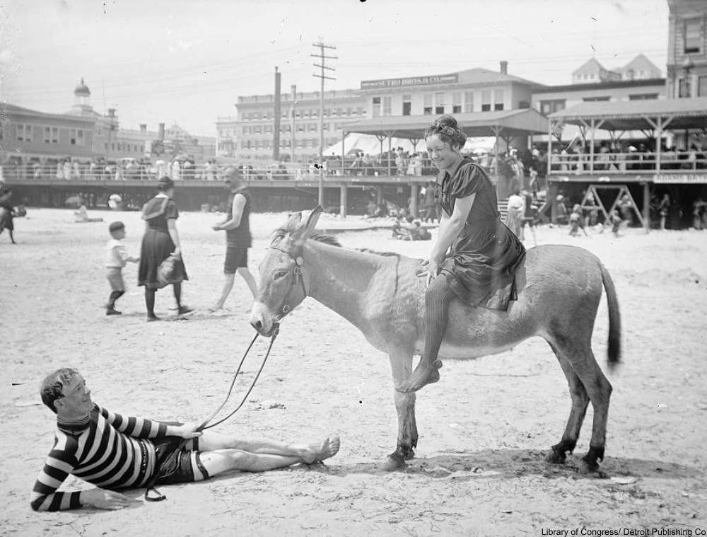 The Victorian Seaside in Photographs