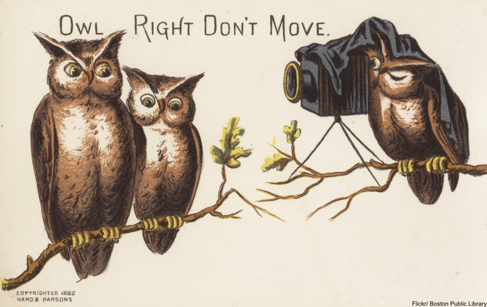 What Is the Deal with Anthropomorphic Animal Advertisements from the 19th Century?