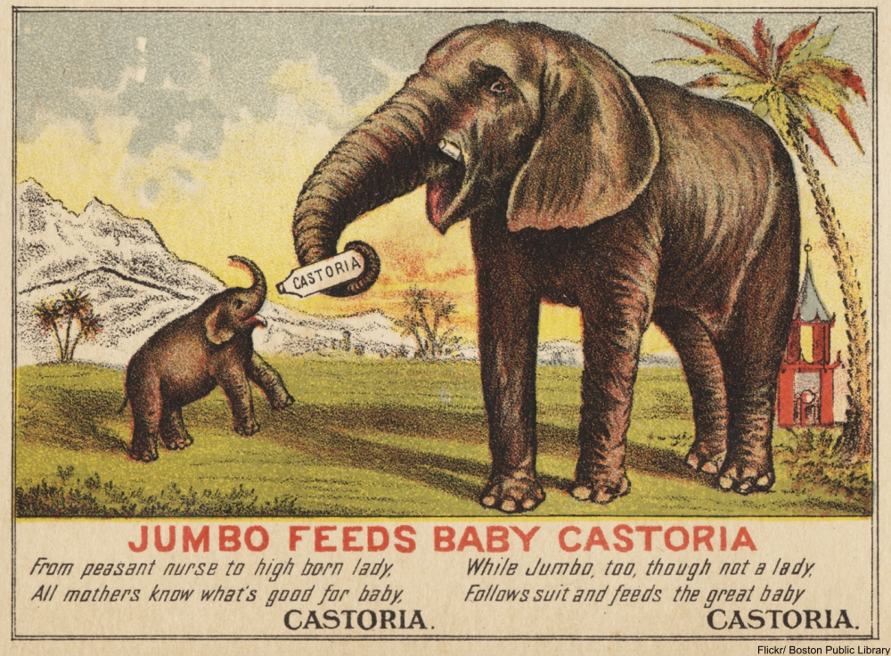 What Is the Deal with Anthropomorphic Animal Advertisements from the 19th Century?
