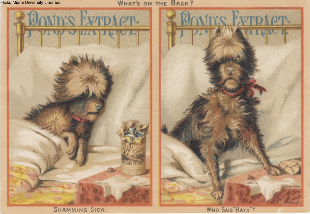 What Is the Deal with Anthropomorphic Animal Advertisements from the 19th Century?