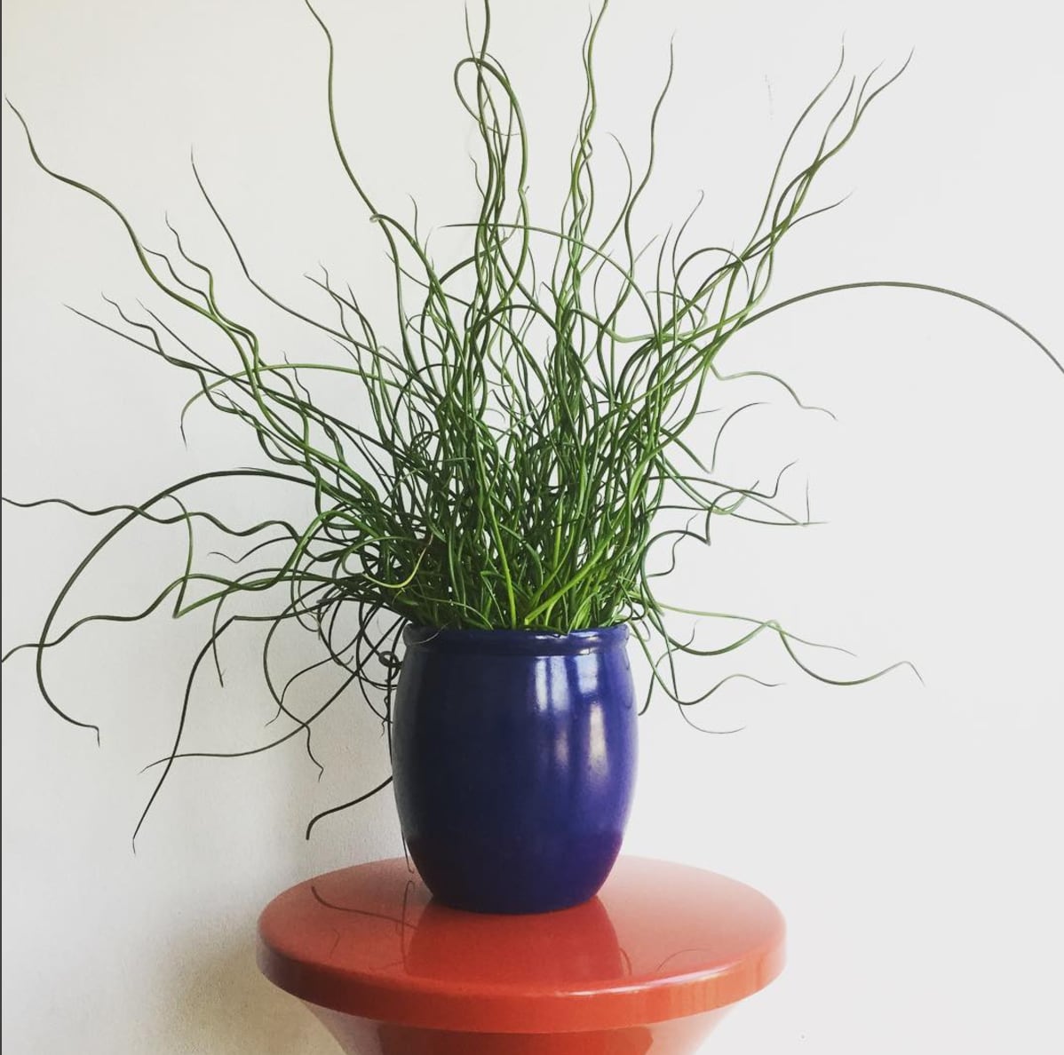 Image via Instagram.