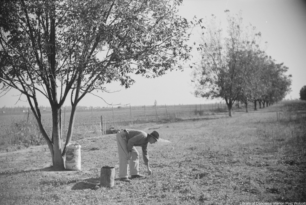 The Things They Did To Survive the Depression