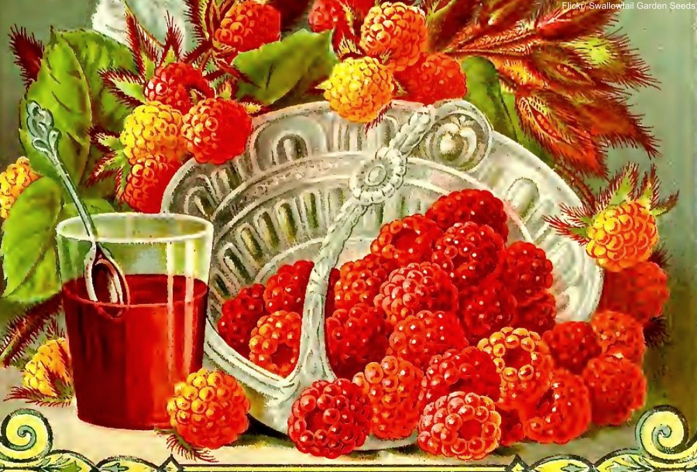 What Cocktails Were People Drinking in 1862?