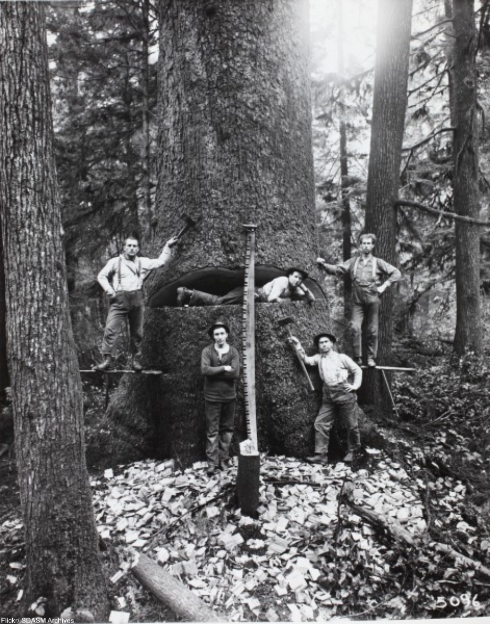 10 Photos You'd Never See Today
